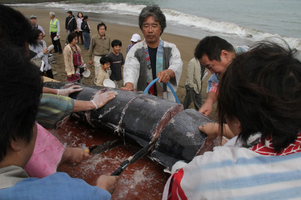 (3407)雲見海賊料理祭り