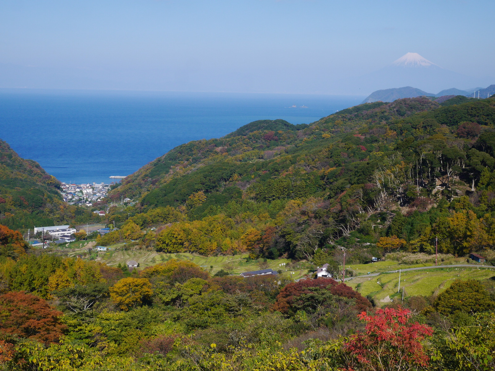 石部棚田と富士山