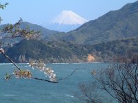 今日は風が強いですが富士山がきれいに見えます