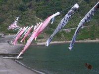 石部のこいのぼり
