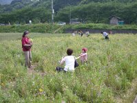 那賀花畑花摘み