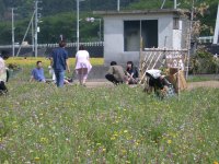 那賀花畑に変なもの（人）出現