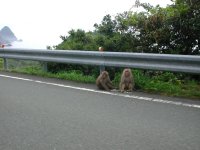 富士見彫刻ライン