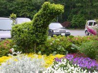 花の三聖苑キリン