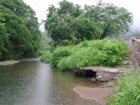 那賀川しろかに