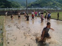 岩科小学校しろかき