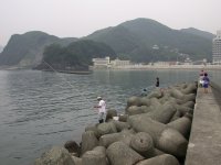 松崎テトラポット