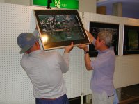 松崎町文化協会ツワブキ写真クラブの写真展が明日から行われます