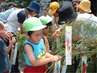 松崎警察署では松崎幼稚園の園児が交通安全の七夕飾りを行いました。