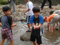 鮎のつかみ取り