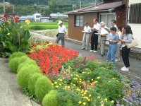 花壇コンクール審査会