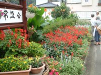 花壇コンクール最優秀賞