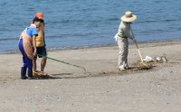 松崎海岸清掃