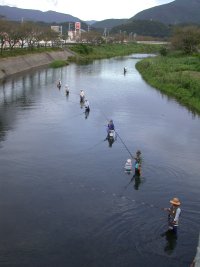 鮎釣り