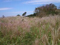 雲見から長者原