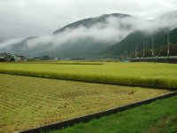 雨は上がりましたが・・・