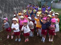 中川幼稚園芋掘り