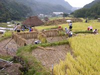 棚田収穫祭
