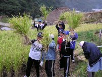 三浦小学校生徒