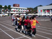 第37回松崎町町民体育大会