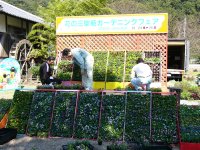 ガーデニングフェア