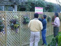 ハンギングバスケットコンテスト