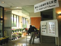 第22回松崎町菊花展開催