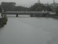 今日は朝から雨の天気です。