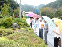 デザイン検討会