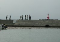 セカチュー見学