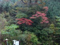 長九郎山の紅葉
