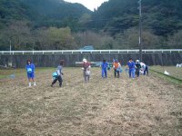 那賀大規模花畑種まき