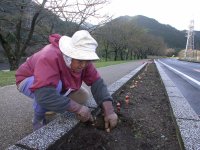 県道下田松崎線花壇