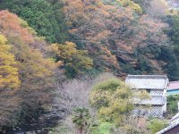 八木山地区の紅葉