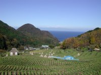 棚田からの風景