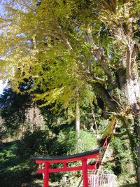 小杉原の八幡神社