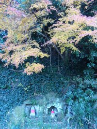 仏の小道の紅葉