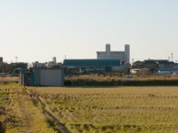 田んぼの中からの松崎