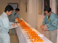 ポンカン品評会