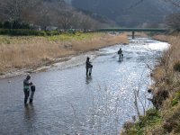 那賀川のハヤ釣り
