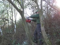 長者ケ原ツツジ保護