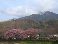 山から煙が・・・