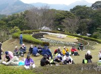 ツーデーマーチ