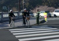 春の交通安全運動