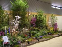 ドリーム21国際大賞受賞