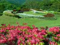 三聖苑のツツジ