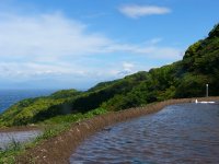 今日の棚田