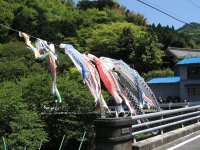 八木山地区鯉のぼり