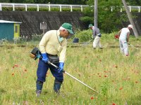 花畑刈り取り