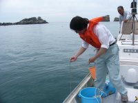 海水浴場水質検査